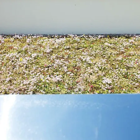 Chilliapartamenty - Blizej Morza - Cynamon Daire Kolobrzeg