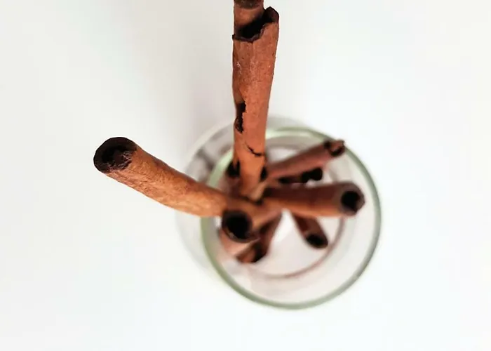 Apartmán Chilliapartamenty - Blizej Morza - Cynamon